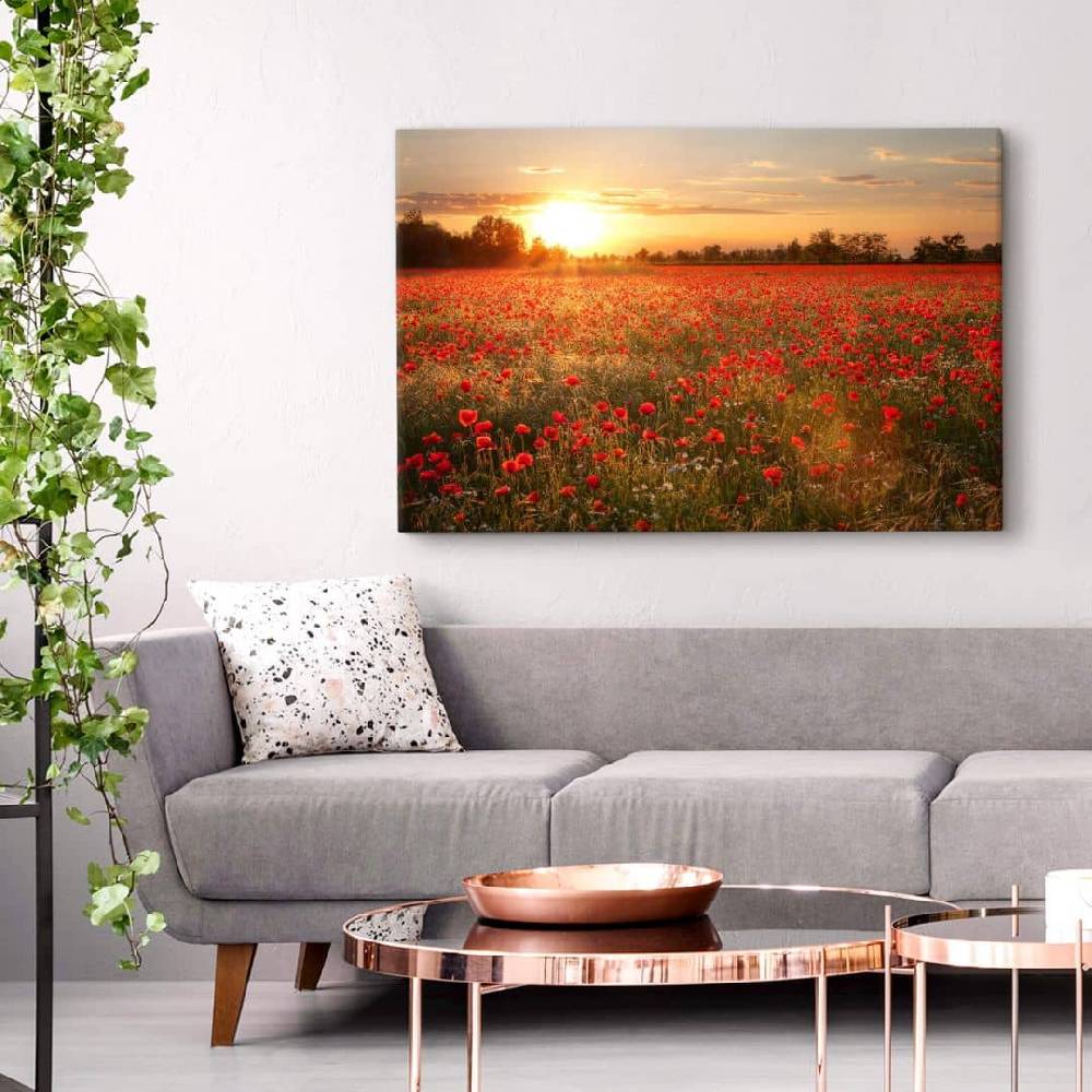 Kaeppel Leinwandbild Mohnfeld im Sonnenuntergang Blitzangebot
