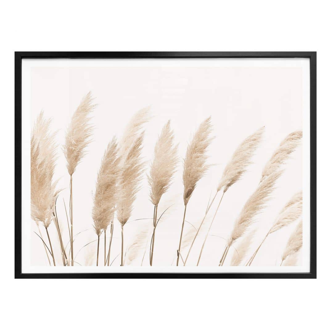 Kaeppel Poster Sisi & Seb - Pampas