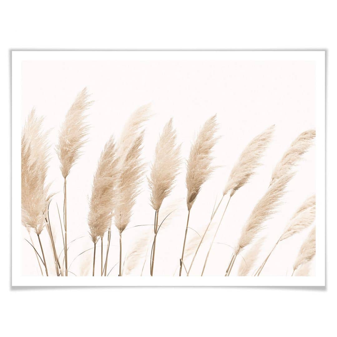 Kaeppel Poster Sisi & Seb - Pampas Speichern exportieren