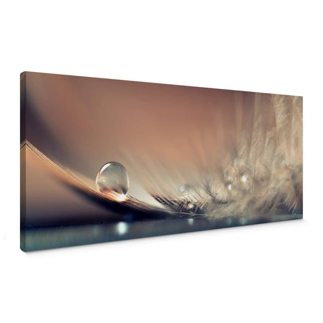 Kaeppel Leinwandbild Dmitry - Story of a Waterdrop - Panorama