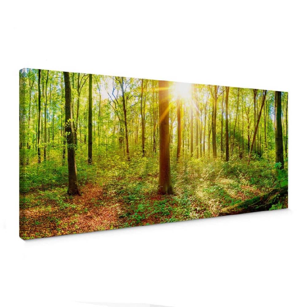 Kaeppel Leinwandbild - Tief im Wald - Panorama