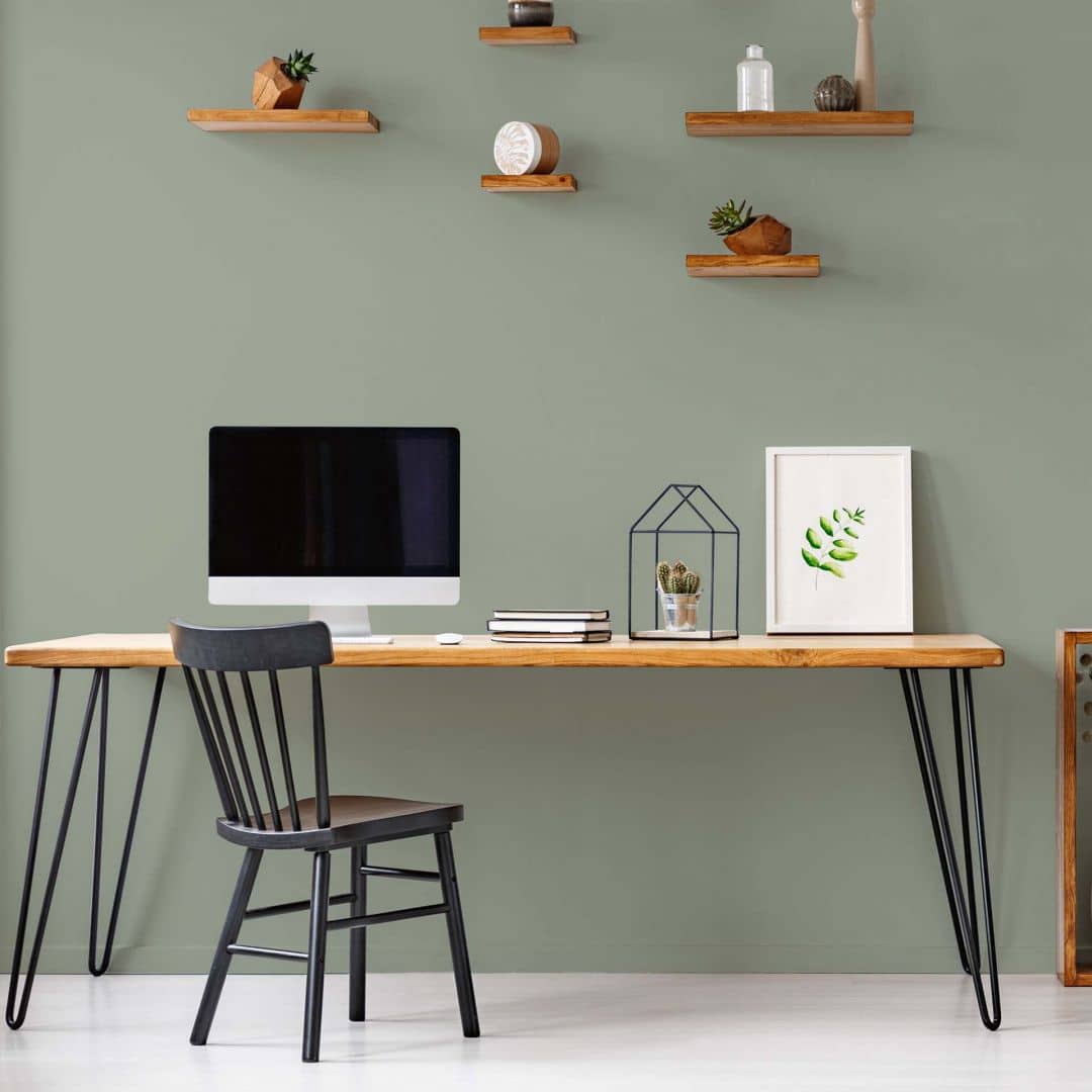 Kaeppel Grün Wandfarbe seidenmatt I Sane Sage | Raumharmonie schaffend | THE COLOR KITCHEN Jubiläumsangebot