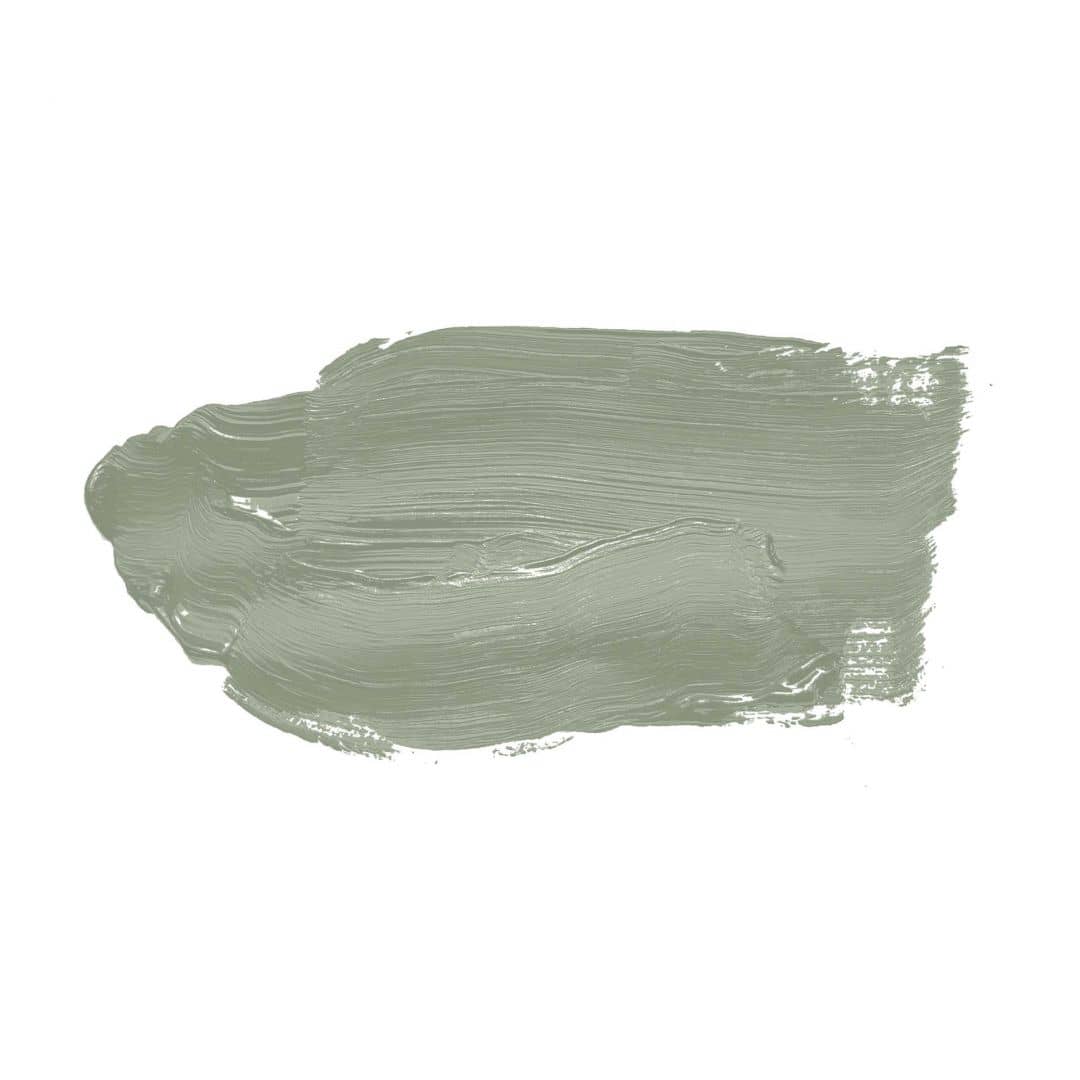 Kaeppel Grün Wandfarbe seidenmatt I Sane Sage | Raumharmonie schaffend | THE COLOR KITCHEN Jubiläumsangebot
