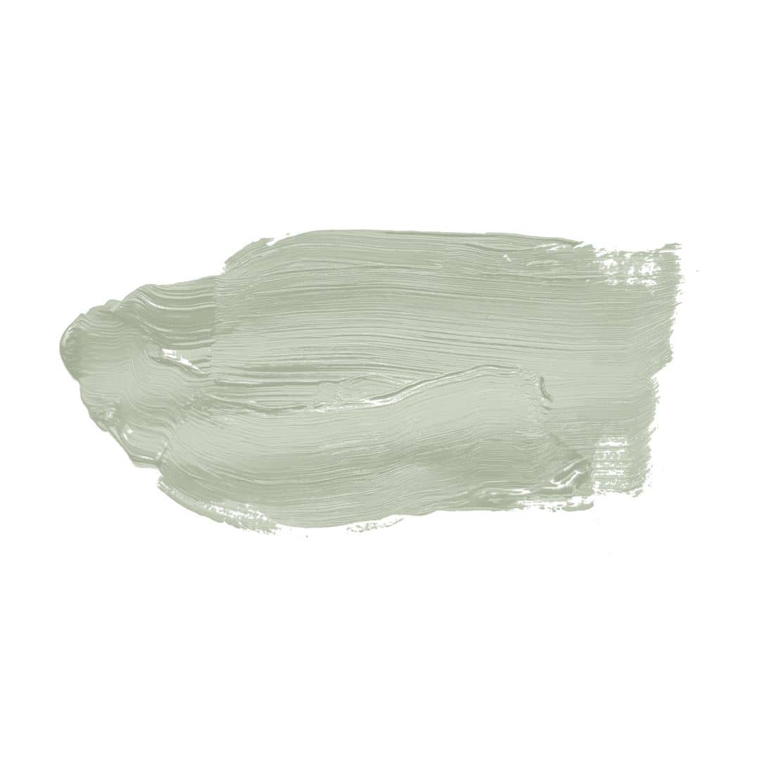 Kaeppel Grün Wandfarbe seidenmatt I Lovely Lime | Raumharmonie schaffend | THE COLOR KITCHEN Lagerräumung