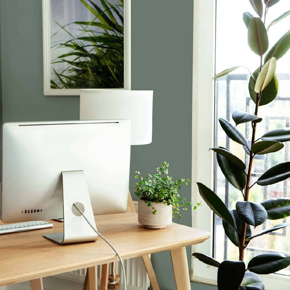 Kaeppel Grün Wandfarbe seidenmatt I Ritzy Rosemary | Raumharmonie schaffend | THE COLOR KITCHEN Exklusive Angebote