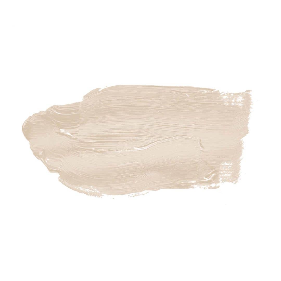 Kaeppel Creme Wandfarbe seidenmatt I Melty Marzipan | Raum öffnend und einladend | THE COLOR KITCHEN Große Rabatte