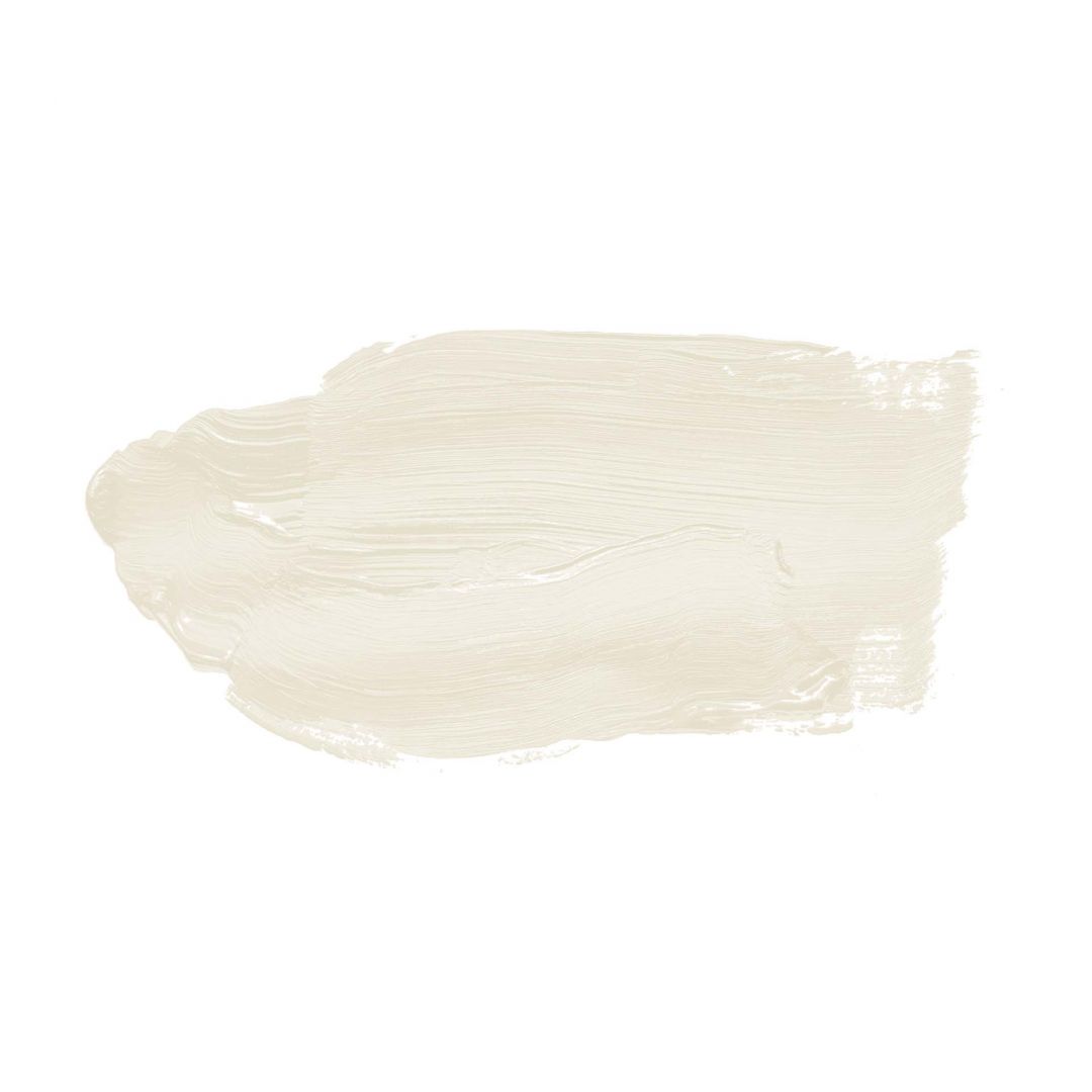 Kaeppel Grau Wandfarbe seidenmatt I Easy Eggshell | elegante, moderne Atmosphäre schaffend | THE COLOR KITCHEN Saisonale Angebote