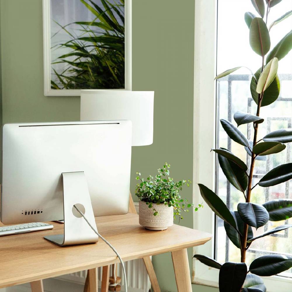 Kaeppel Grün Wandfarbe seidenmatt I Balmy Basil | Raumharmonie schaffend | THE COLOR KITCHEN Räumungsverkauf