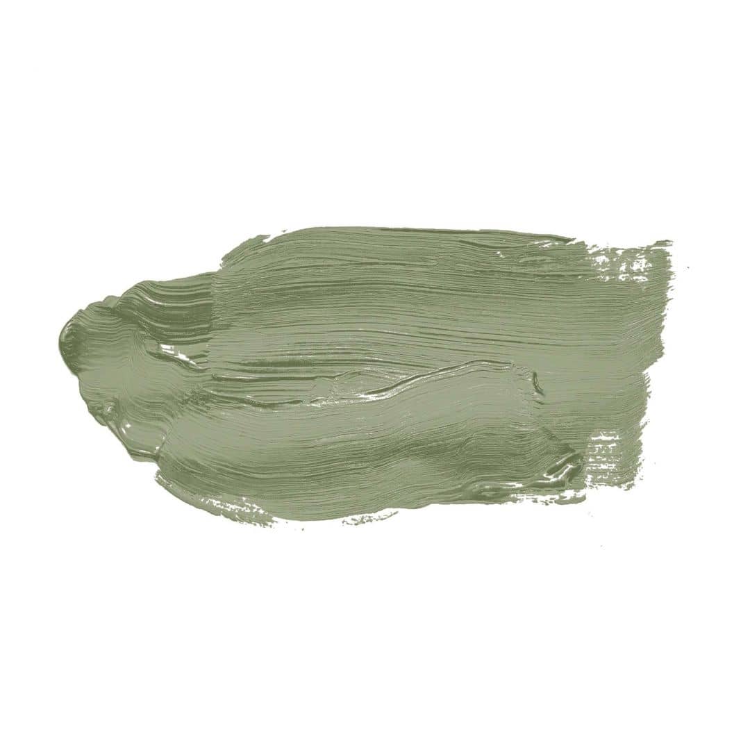 Kaeppel Grün Wandfarbe seidenmatt I Balmy Basil | Raumharmonie schaffend | THE COLOR KITCHEN Räumungsverkauf