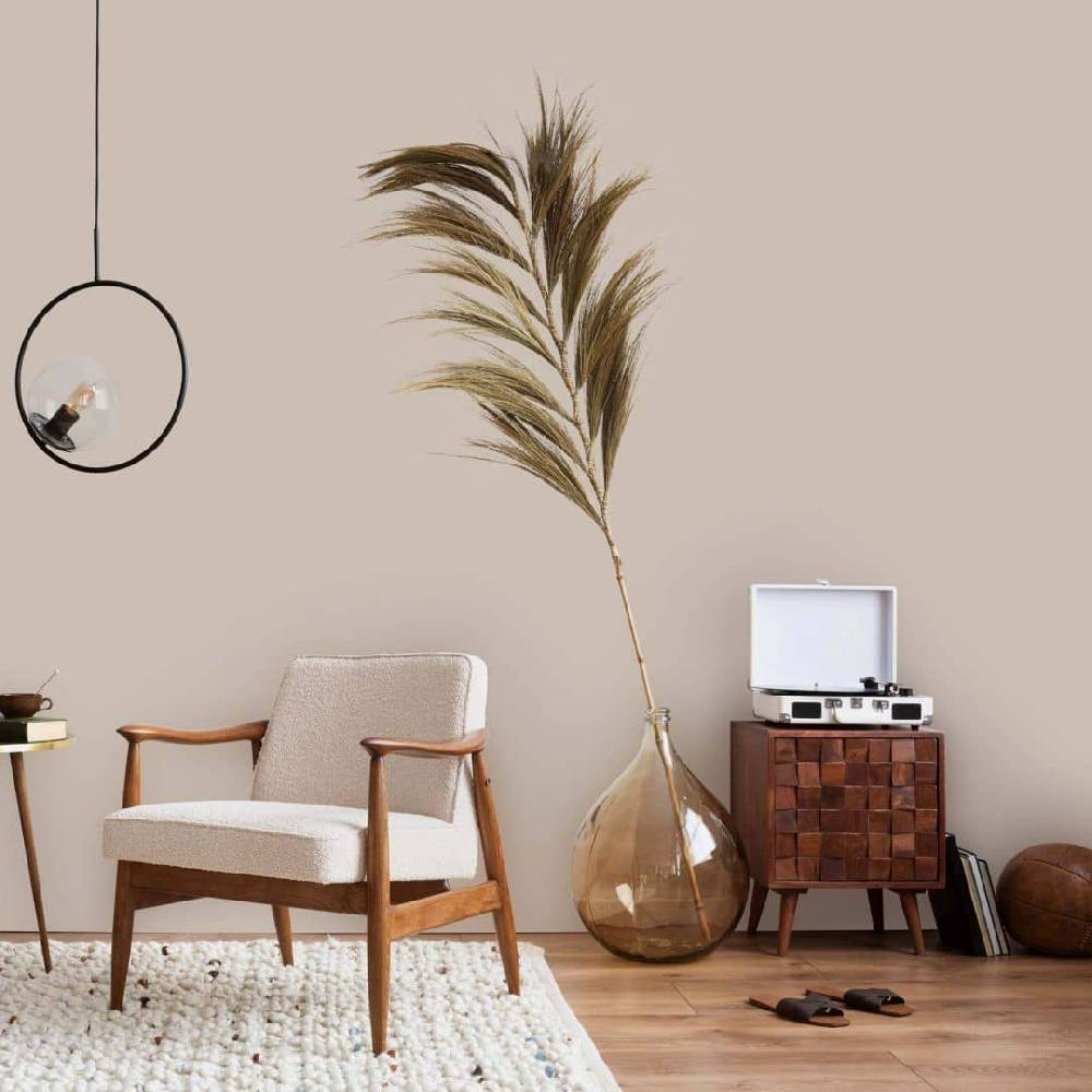 Kaeppel Beige Wandfarbe seidenmatt I Seedy Sunflower | Raum öffnend und beruhigend | THE COLOR KITCHEN Kauf eins, bekomm eins gratis