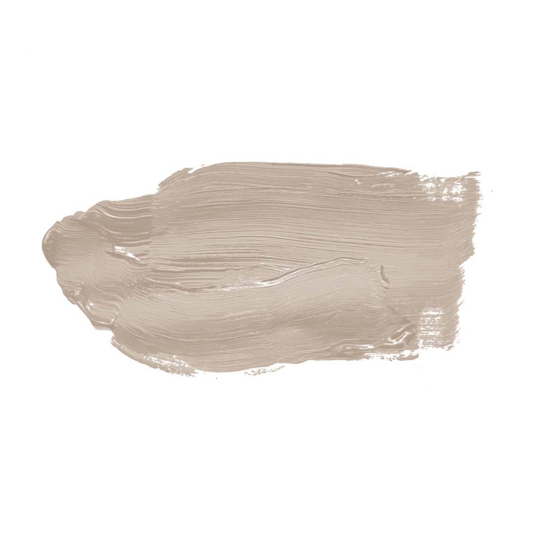 Kaeppel Beige Wandfarbe seidenmatt I Seedy Sunflower | Raum öffnend und beruhigend | THE COLOR KITCHEN Kauf eins, bekomm eins gratis