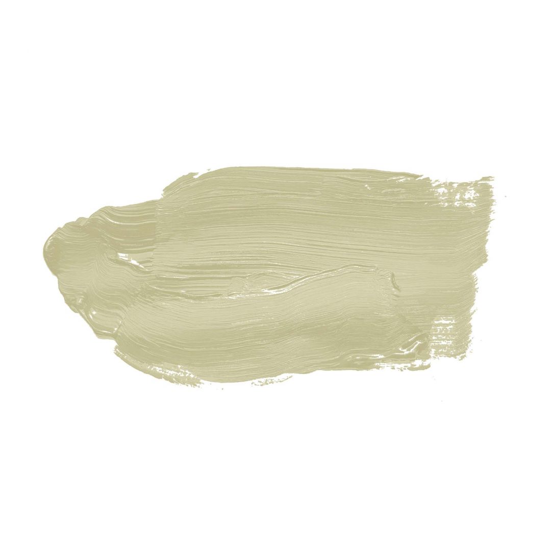 Kaeppel Grün Wandfarbe seidenmatt I Warm Wasabi | Raumharmonie schaffend | THE COLOR KITCHEN Sonderangebote