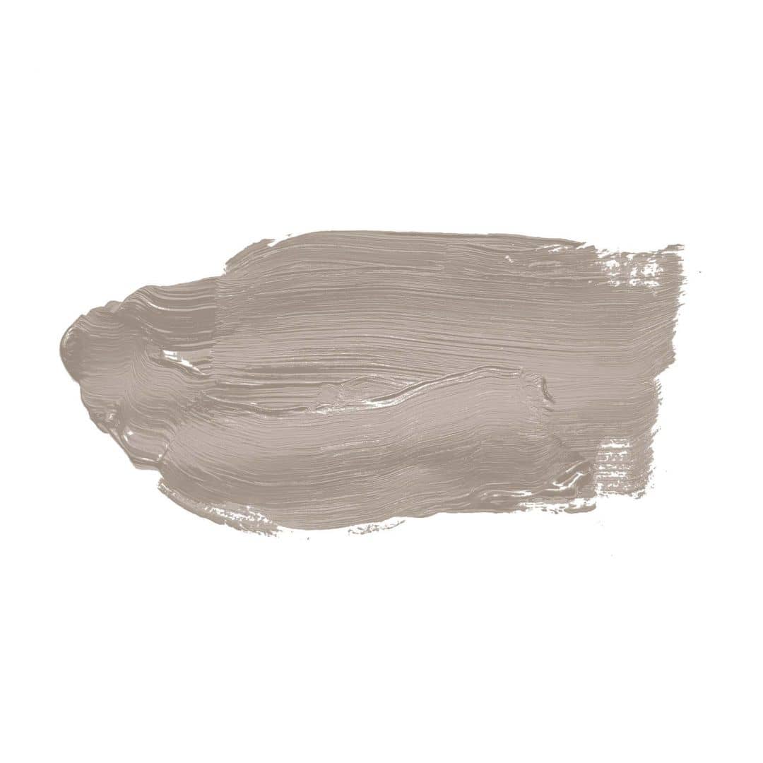 Kaeppel Taupe Wandfarbe seidenmatt I Whole Grain | Atmosphäre zurückhaltender Eleganz schaffend | THE COLOR KITCHEN Tiefpreis