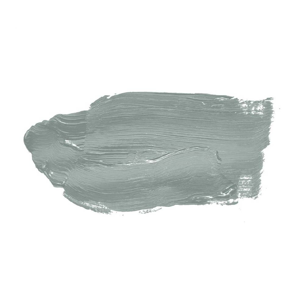 Kaeppel Grün Wandfarbe seidenmatt I Unique Eucalyptus | Raumharmonie schaffend | THE COLOR KITCHEN Letzte 3 Tage