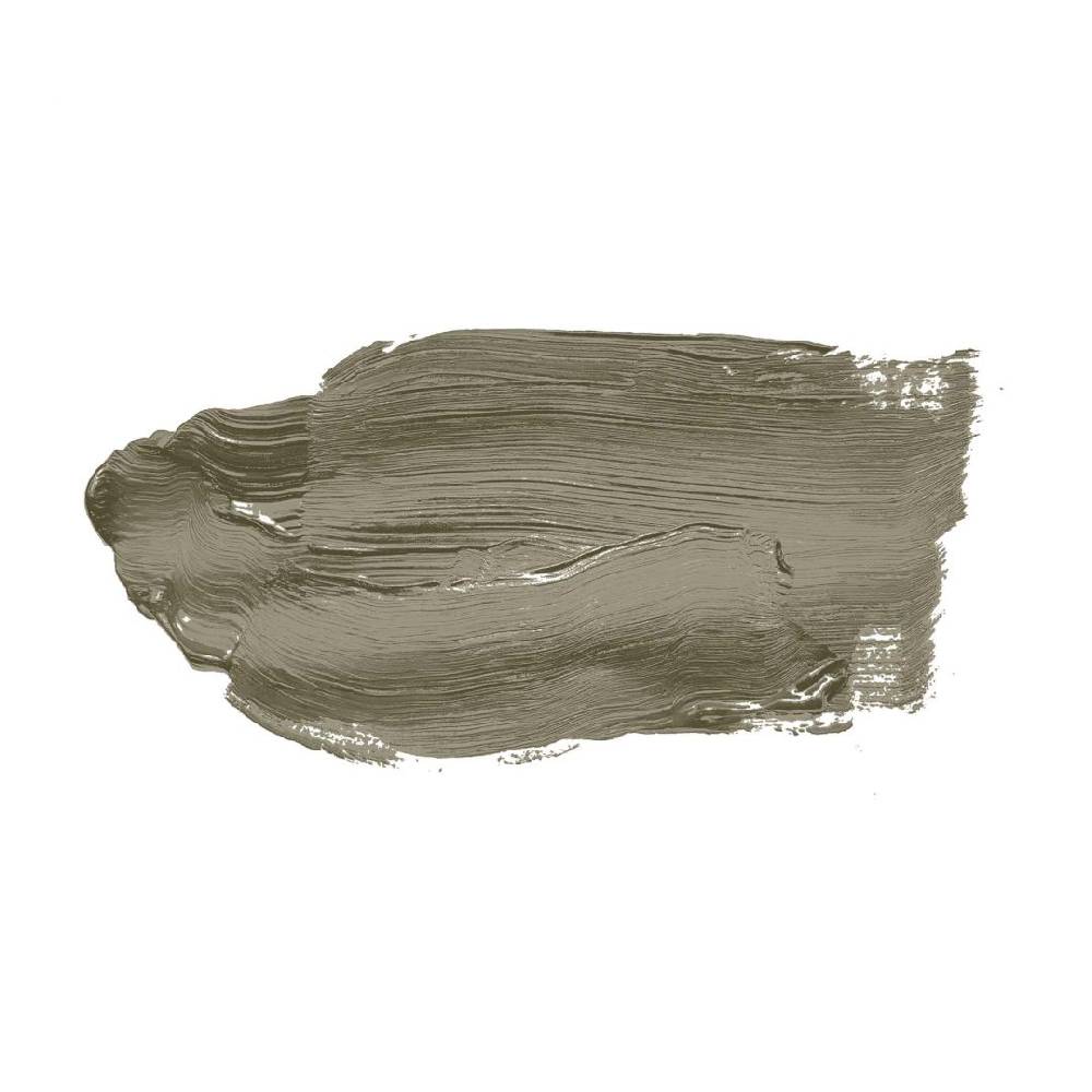 Kaeppel Khaki Grün Wandfarbe seidenmatt I Ordinary Olive | Raumharmonie schaffend | THE COLOR KITCHEN Neueste Stile