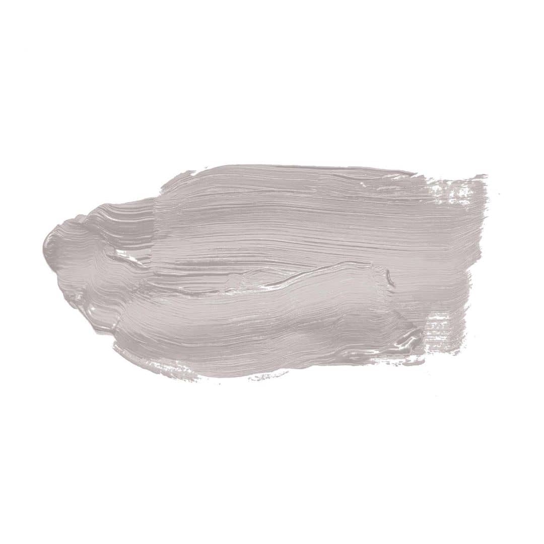 Kaeppel Grau Wandfarbe seidenmatt I Calm Clam | elegante, moderne Atmosphäre schaffend | THE COLOR KITCHEN Letzter Tag