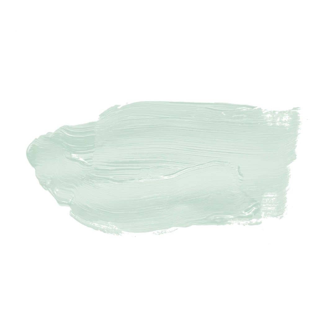 Kaeppel Grün Wandfarbe seidenmatt I Perky Peppermint | Raumharmonie schaffend | THE COLOR KITCHEN Zeitbegrenzte Promotion
