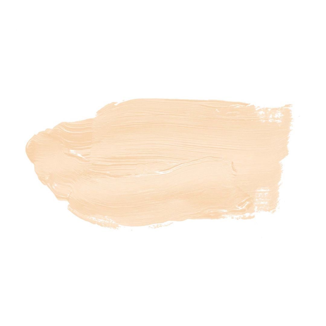 Kaeppel Beige Wandfarbe seidenmatt I Piña Colada | Raum öffnend und beruhigend | THE COLOR KITCHEN Vierteljährliche Förderung