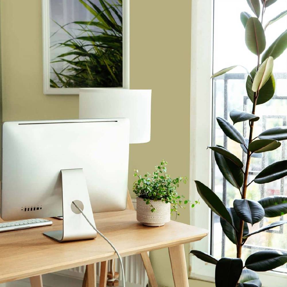Kaeppel Grün Wandfarbe seidenmatt I Mellow Matcha | Raumharmonie schaffend | THE COLOR KITCHEN Super Rabatt