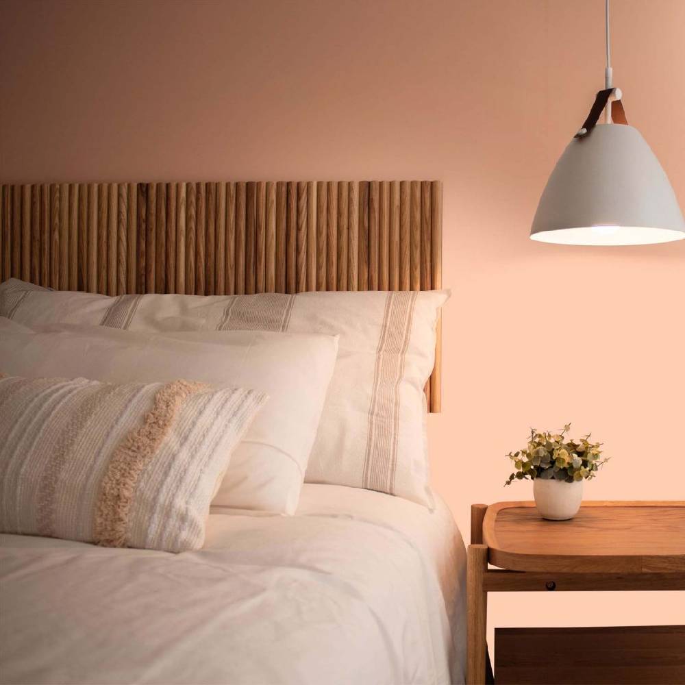 Kaeppel Rosa Wandfarbe seidenmatt I Honeydew Melon | beruhigende und einladende Atmosphäre | THE COLOR KITCHEN Riesige Rabatte