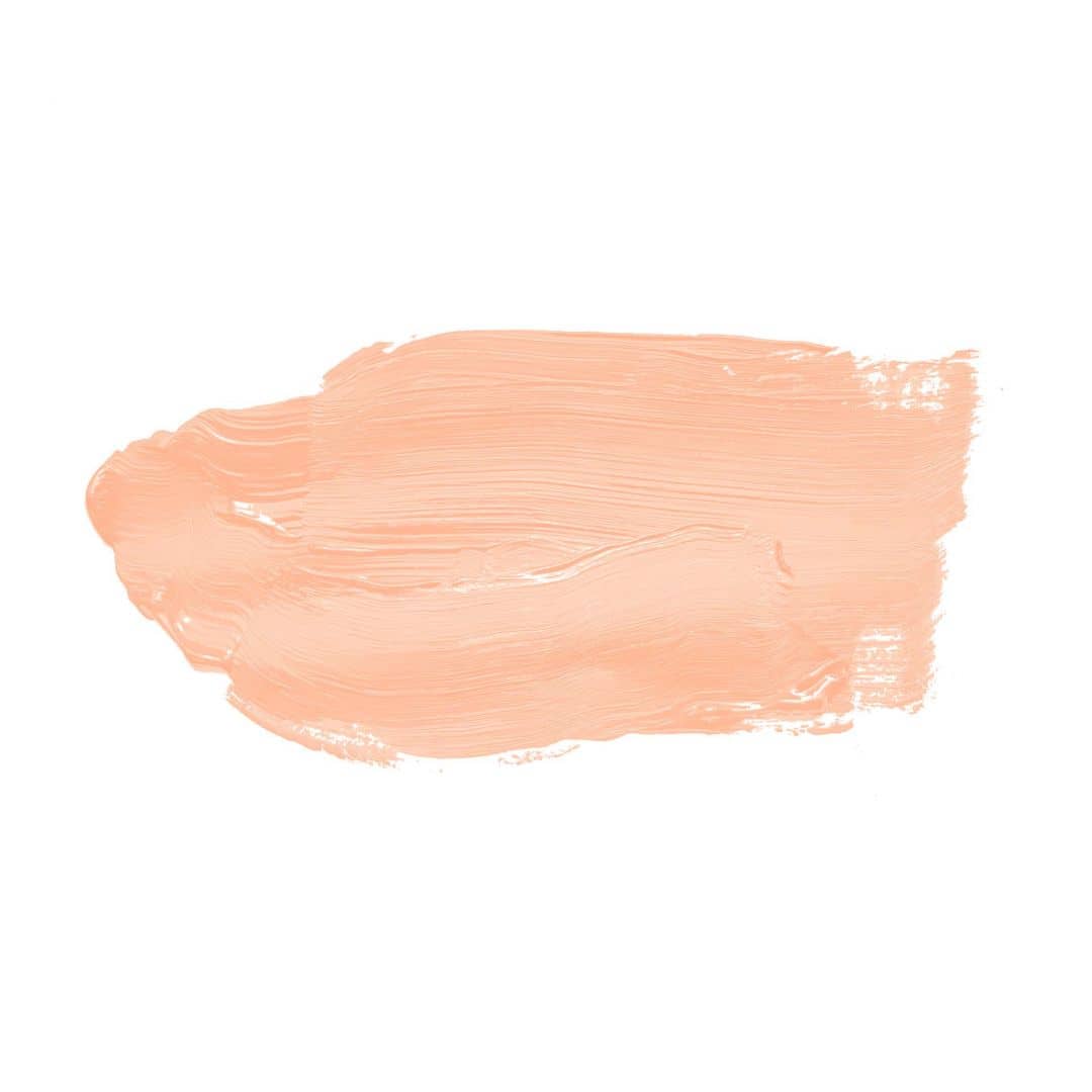 Kaeppel Rosa Wandfarbe seidenmatt I Honeydew Melon | beruhigende und einladende Atmosphäre | THE COLOR KITCHEN Riesige Rabatte