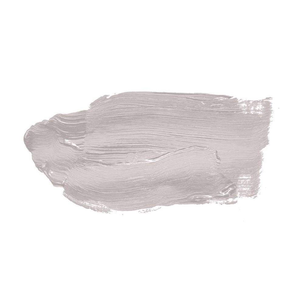 Kaeppel Grau Wandfarbe seidenmatt I Salty Shrimp | elegante, moderne Atmosphäre schaffend | THE COLOR KITCHEN 50% Rabatt mit kostenlosem Versand