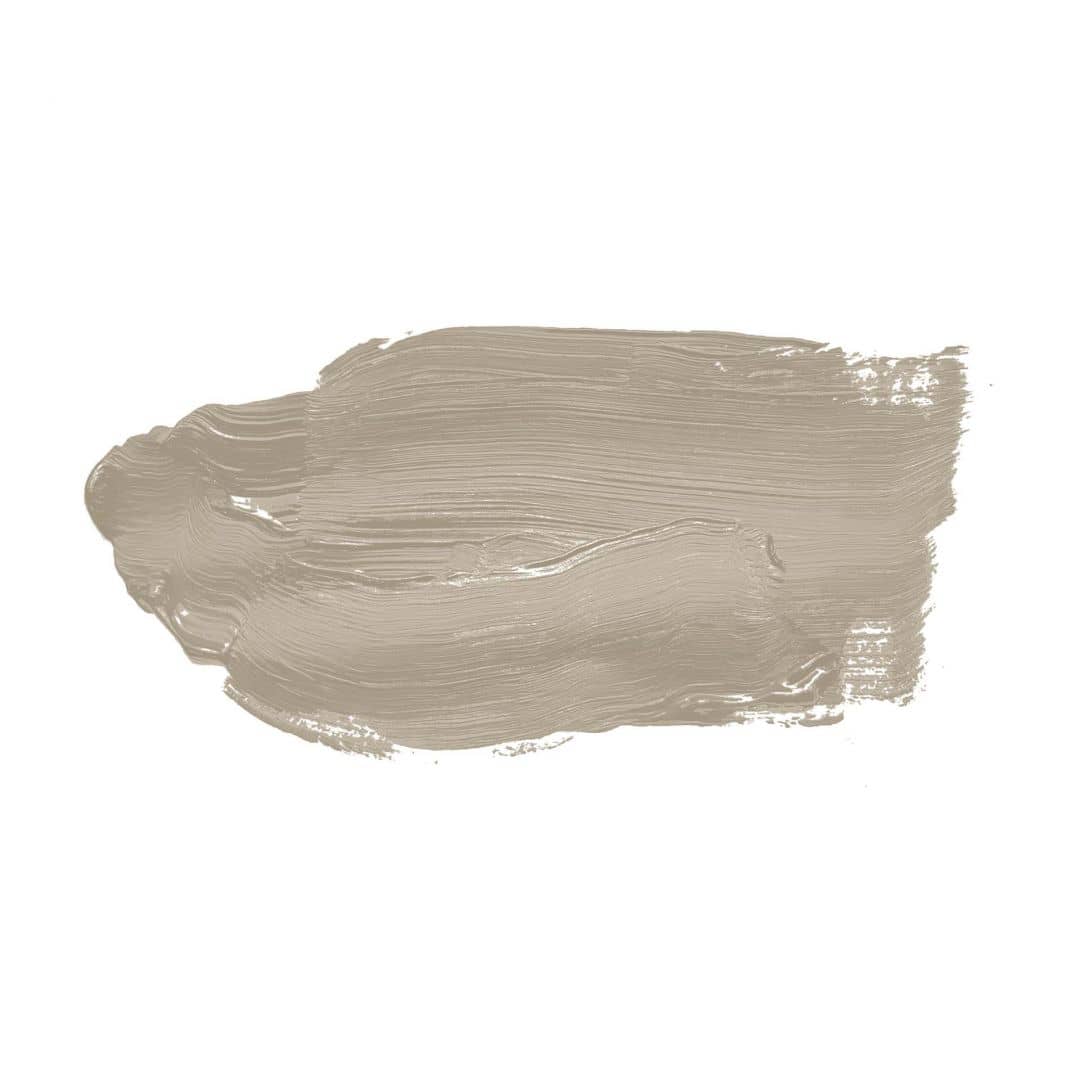 Kaeppel Taupe Wandfarbe seidenmatt I Pumpkin Seed | Atmosphäre zurückhaltender Eleganz schaffend | THE COLOR KITCHEN zollfrei