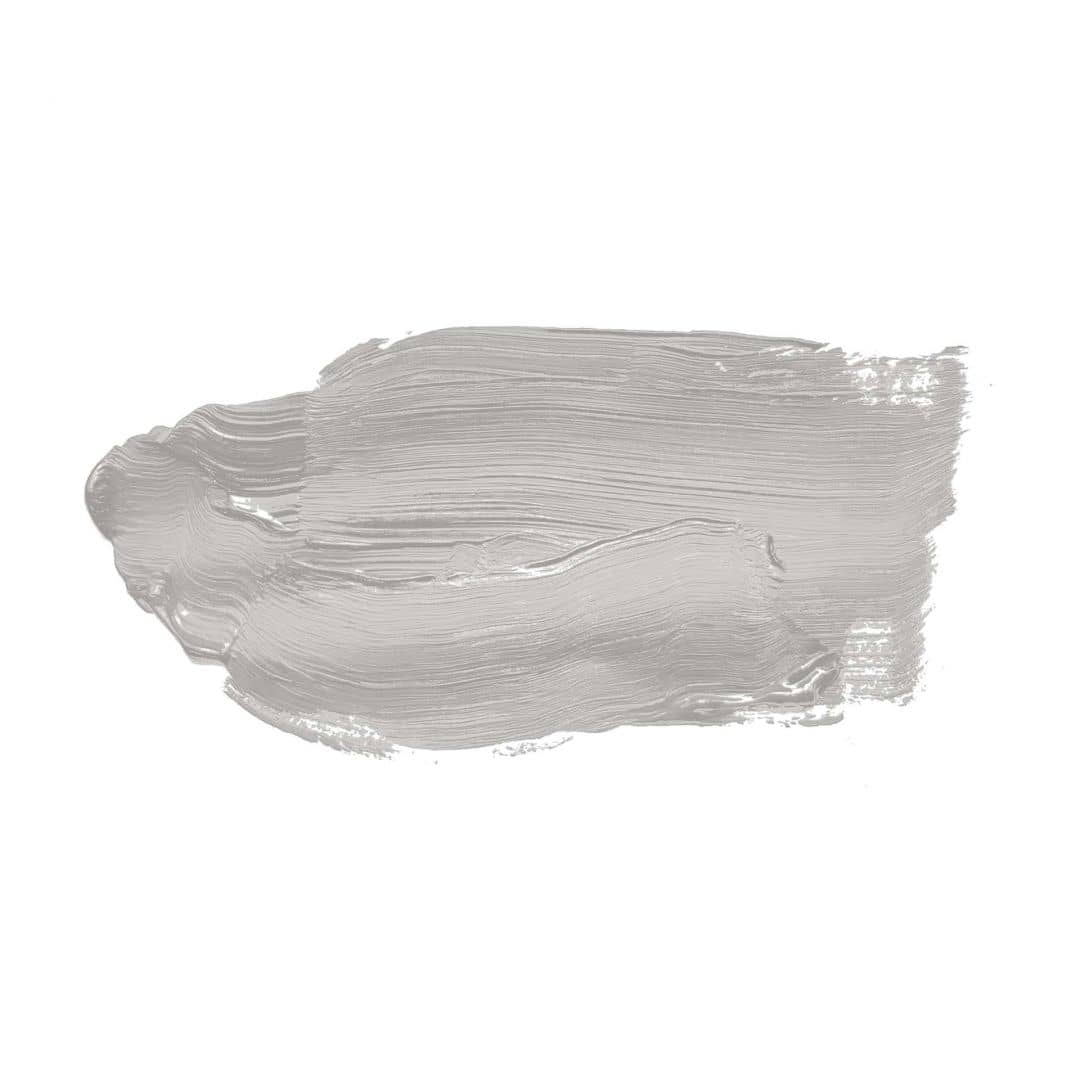 Kaeppel Grau Wandfarbe seidenmatt I Sprat Fish | elegante, moderne Atmosphäre schaffend | THE COLOR KITCHEN 50% Rabatt für begrenzte Zeit