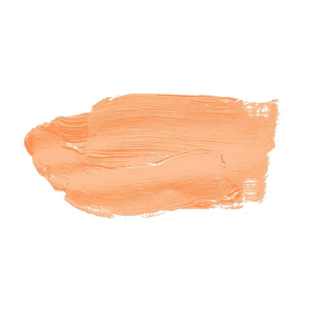 Kaeppel Orange Wandfarbe seidenmatt I Pure Papaya | energiegeladen begeisternd | THE COLOR KITCHEN Online