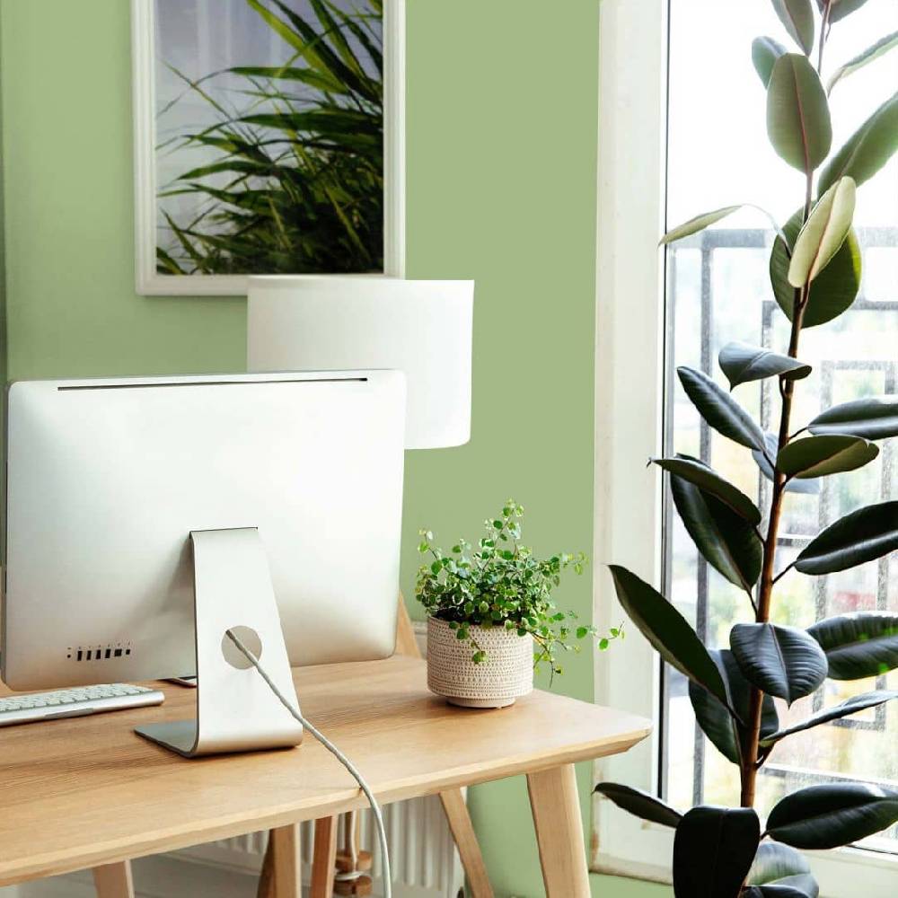 Kaeppel Grün Wandfarbe seidenmatt I Green Grape | Raumharmonie schaffend | THE COLOR KITCHEN Angebote