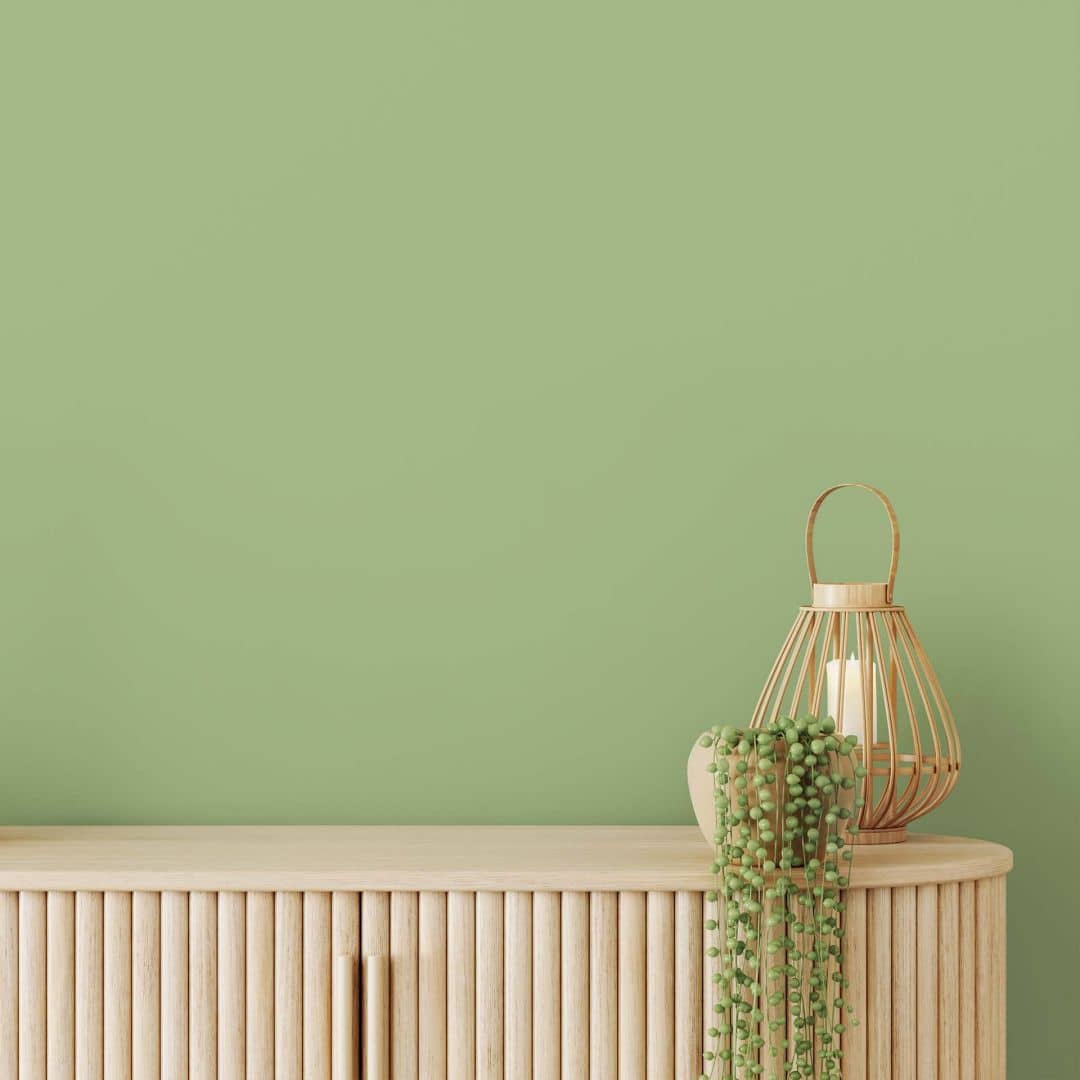 Kaeppel Grün Wandfarbe seidenmatt I Green Grape | Raumharmonie schaffend | THE COLOR KITCHEN Angebote