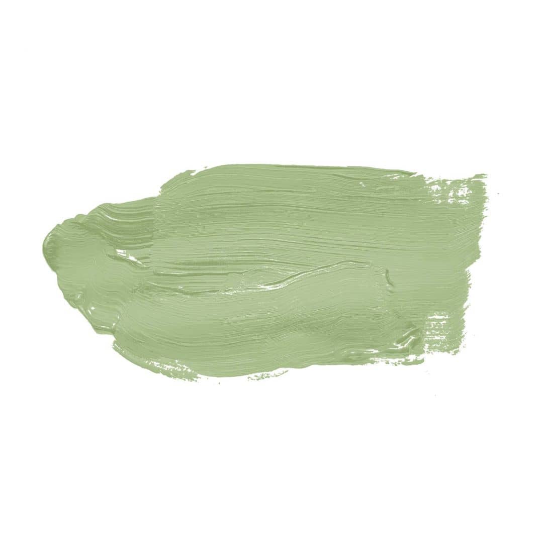 Kaeppel Grün Wandfarbe seidenmatt I Green Grape | Raumharmonie schaffend | THE COLOR KITCHEN Angebote