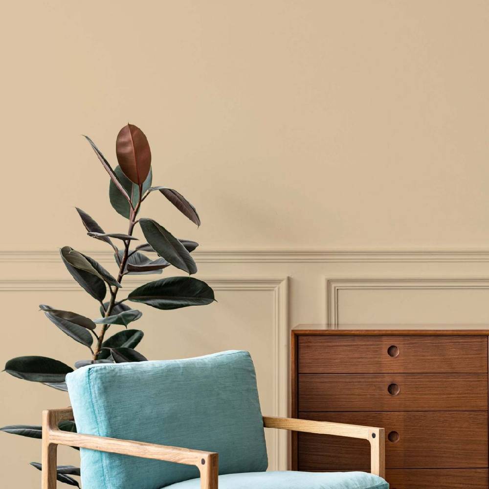 Kaeppel Beige Wandfarbe seidenmatt I Asthetic Artichoke | Raum öffnend und beruhigend | THE COLOR KITCHEN Sonderangebot