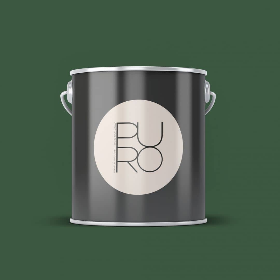 Kaeppel Premium Wandfarbe Grün - Tuchmatte Innenwandfarbe - PURO c5005 sage green