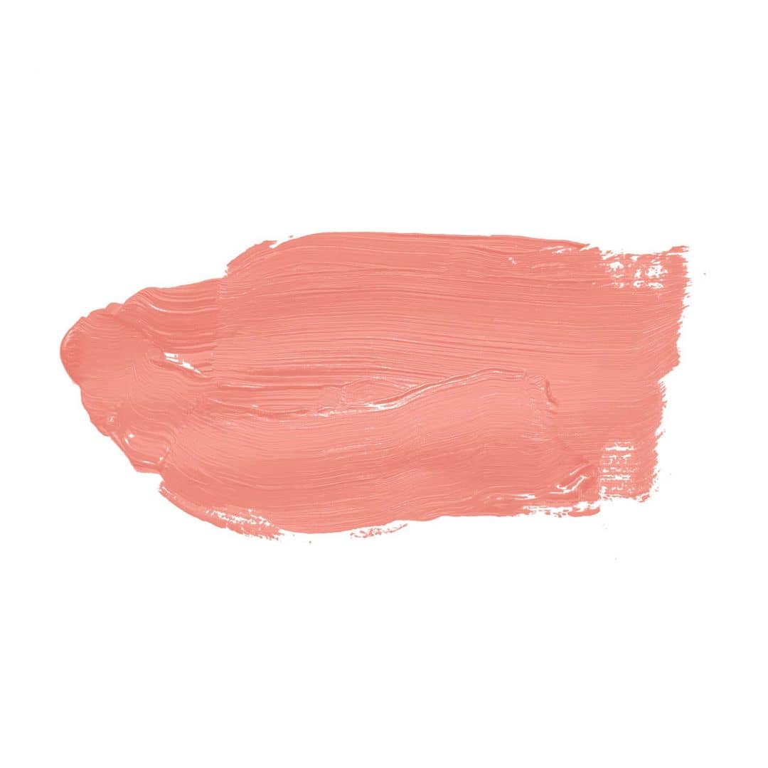 Kaeppel Pink Wandfarbe seidenmatt I Georgeous Grapefruit | verspielt und fröhlicher Charakter | THE COLOR KITCHEN Begrenztes Angebot