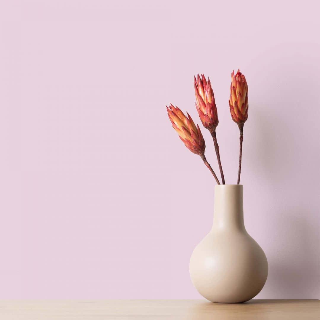 Kaeppel Pink Wandfarbe seidenmatt I Milky Strawberry | verspielt und fröhlicher Charakter | THE COLOR KITCHEN Exklusivangebot