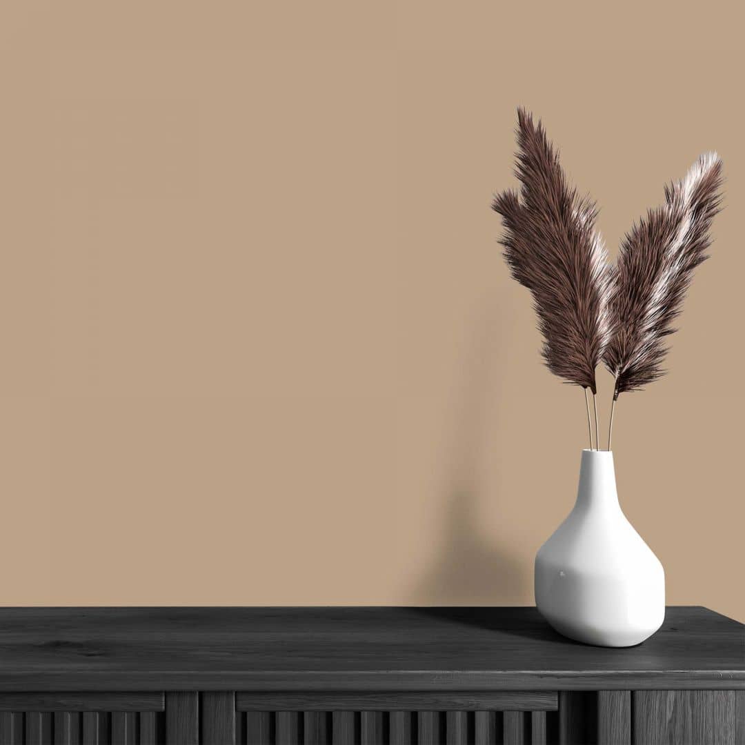 Kaeppel Braun Wandfarbe seidenmatt I Friendly Fennel | behagliche und ruhige Raumatmosphäre schaffend | THE COLOR KITCHEN Osterangebot