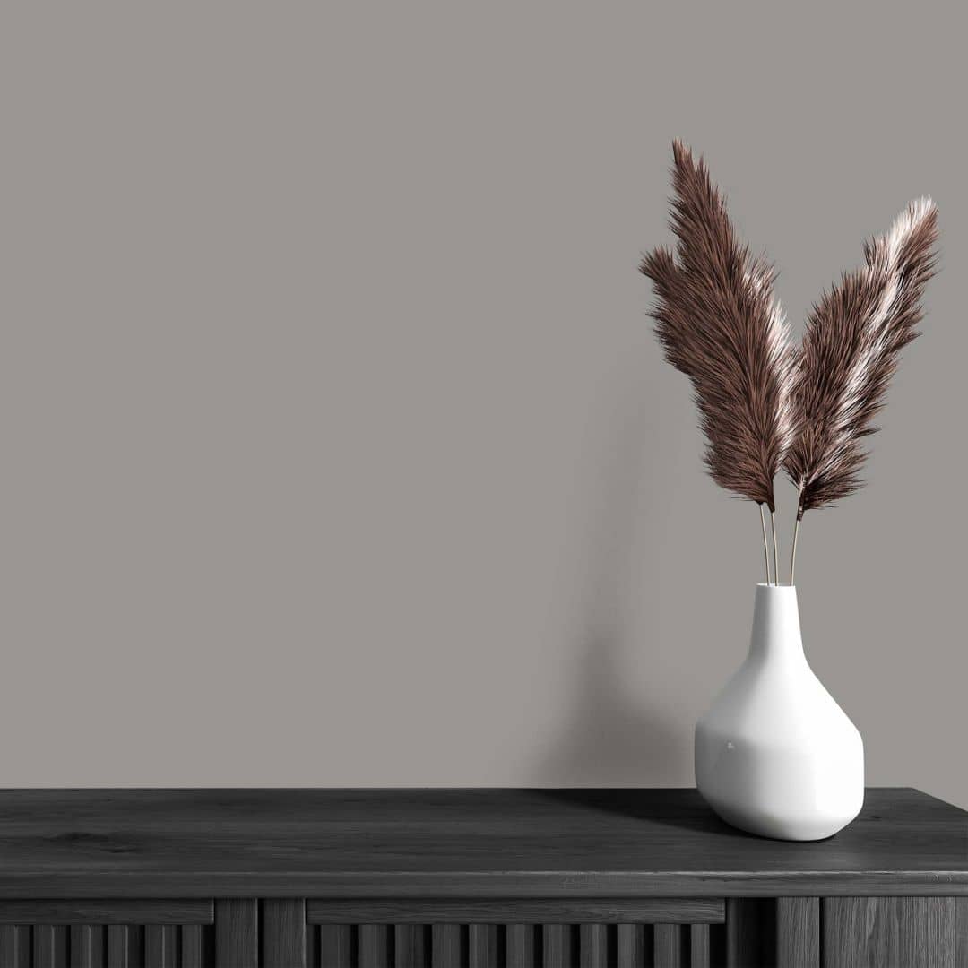 Kaeppel Grau Wandfarbe seidenmatt I Miraculous Mackerel | elegante, moderne Atmosphäre schaffend | THE COLOR KITCHEN Top Angebot