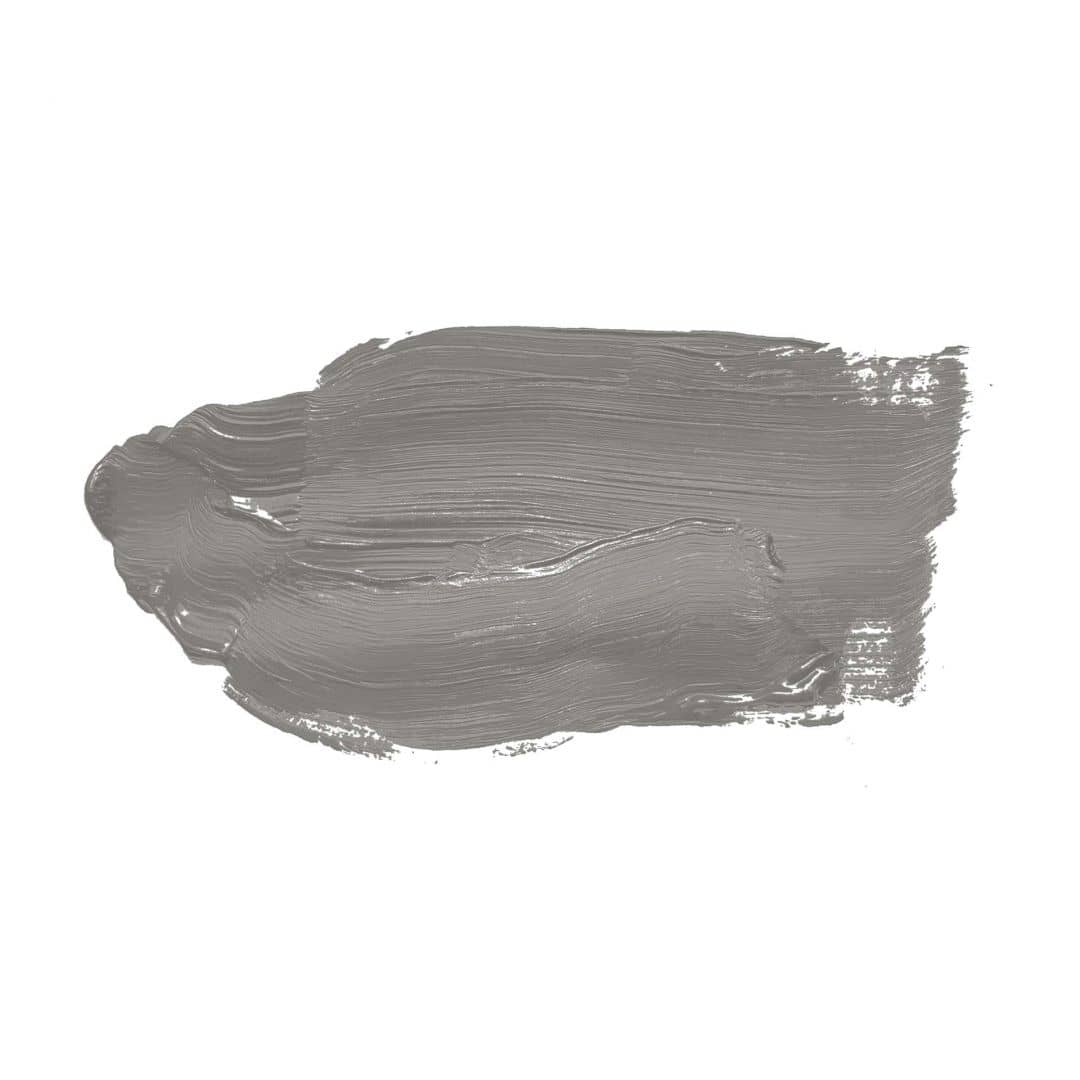 Kaeppel Grau Wandfarbe seidenmatt I Miraculous Mackerel | elegante, moderne Atmosphäre schaffend | THE COLOR KITCHEN Top Angebot