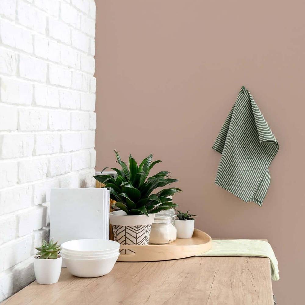 Kaeppel Braun Wandfarbe seidenmatt I Icy Chocolate | behagliche und ruhige Raumatmosphäre schaffend | THE COLOR KITCHEN Online Outlet