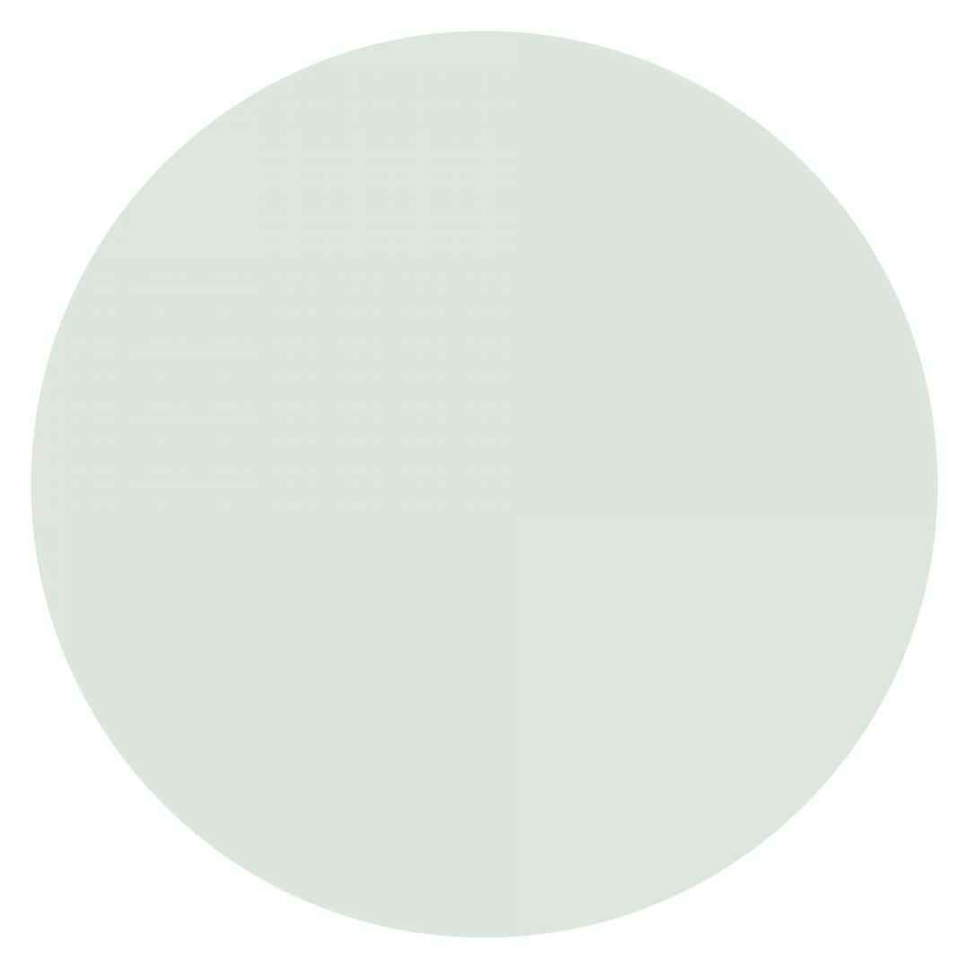 Kaeppel Wandtattoo Kreis - Pastell Mint Sonderangebot der Fabrik