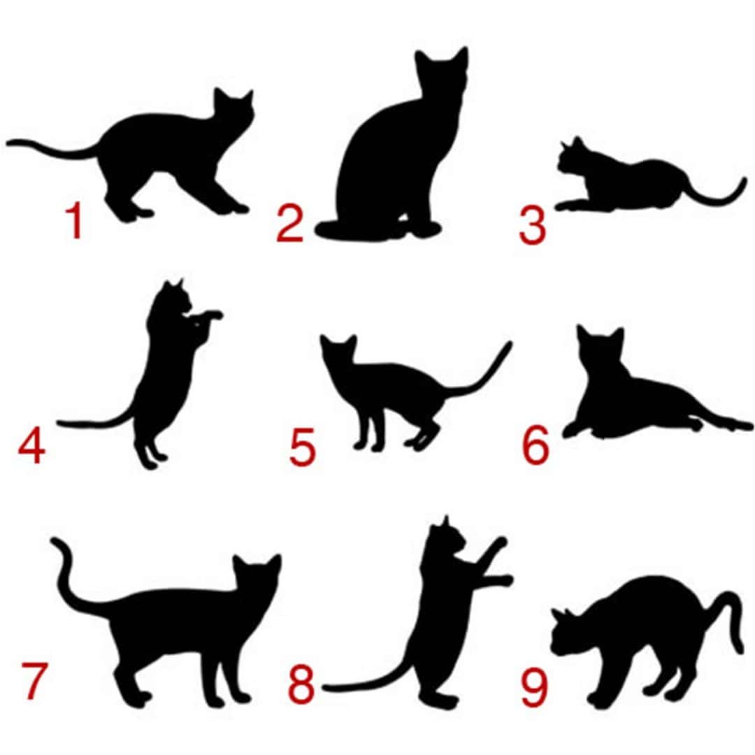 Kaeppel Wandtattoo Katze Nur noch ein Tag übrig