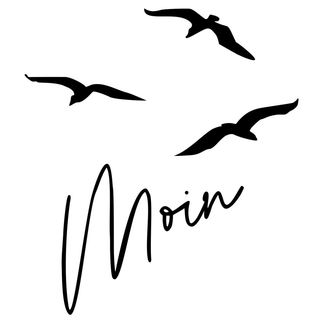 Kaeppel Spruch Wandtattoo Moin mit Möwen Super Rabatt
