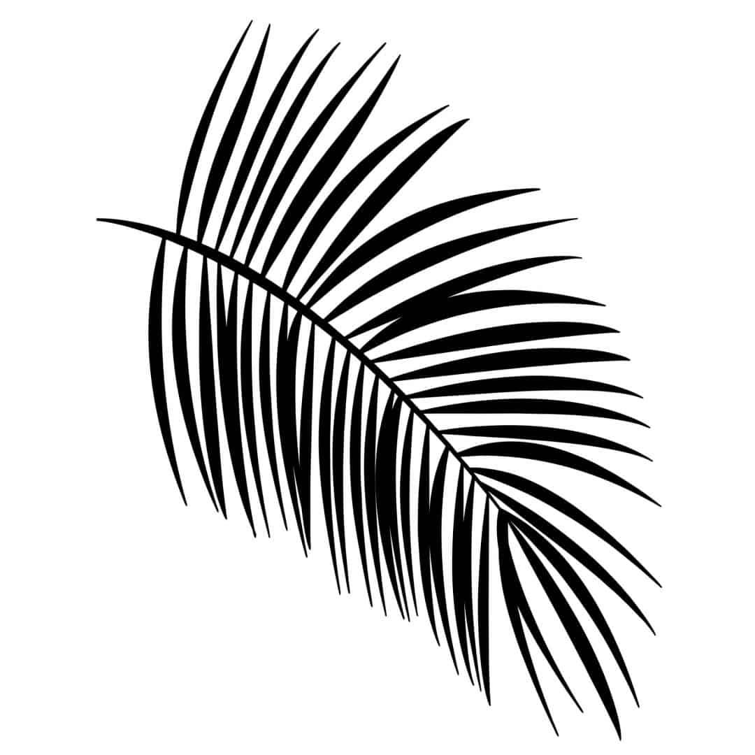 Kaeppel Wandtattoo Palmenblatt Online Shopping