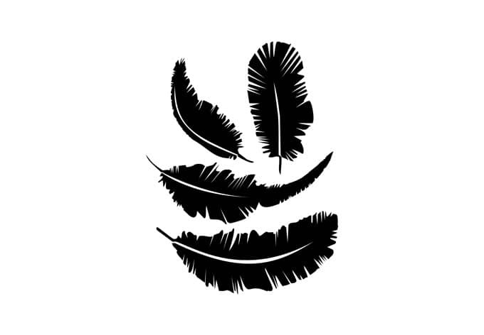 Kaeppel Wandtattoo Feder-Set Weihnachtsangebot
