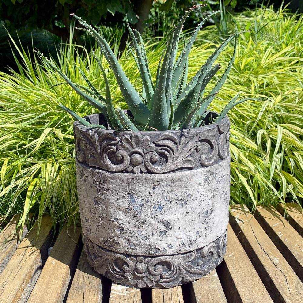 Kaeppel Vintage Damask Übertopf rustikal Vatertagsangebot