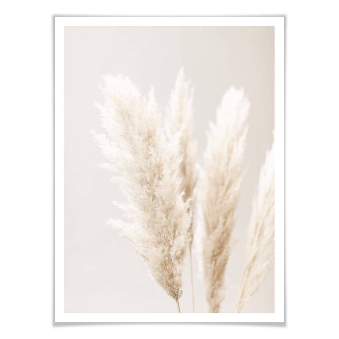 Kaeppel Poster 1X Studio - Pampasgras Black Friday Preise