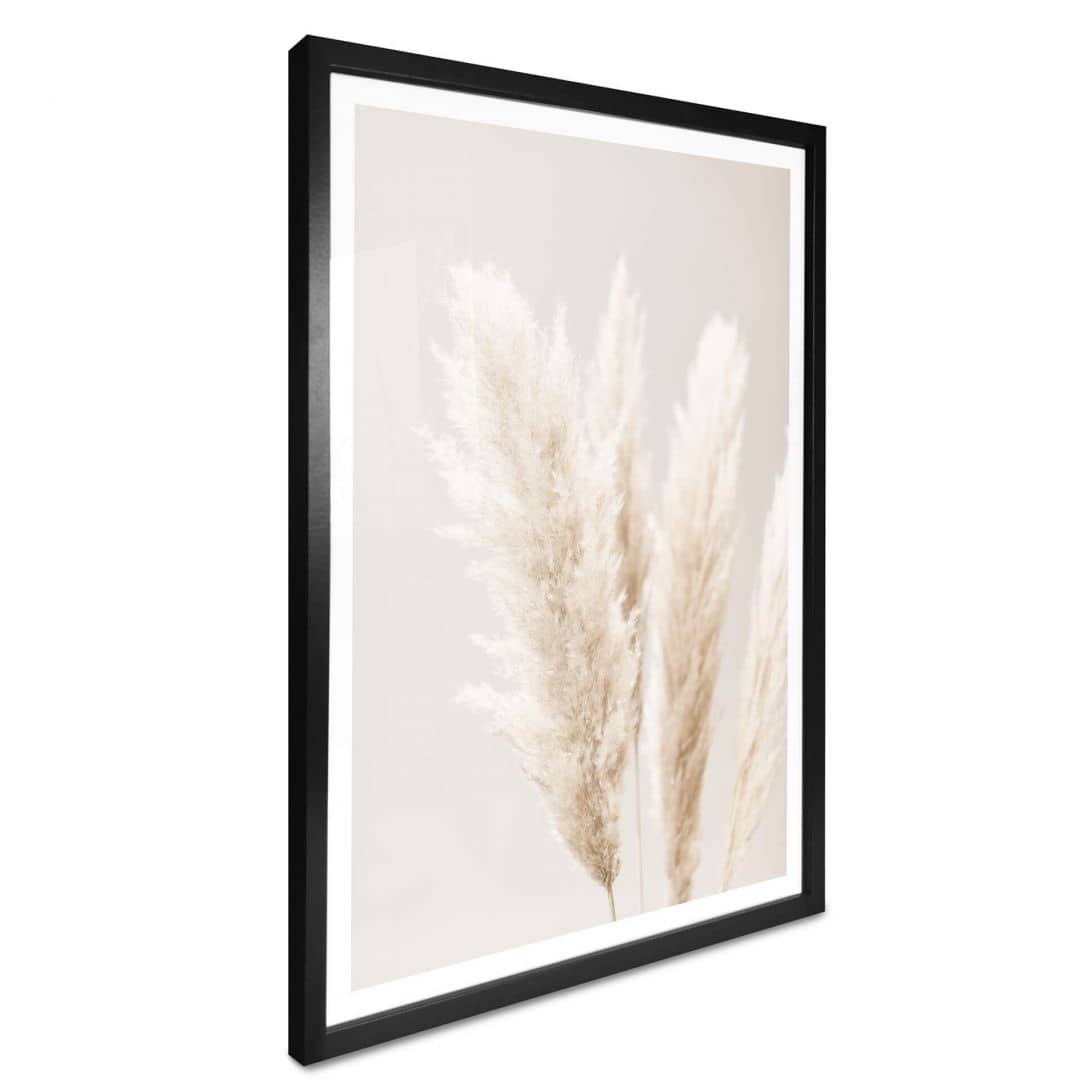 Kaeppel Poster 1X Studio - Pampasgras Black Friday Preise