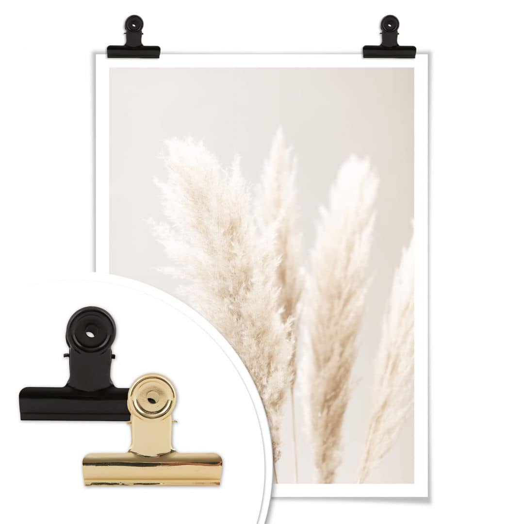 Kaeppel Poster 1X Studio - Pampasgras Black Friday Preise
