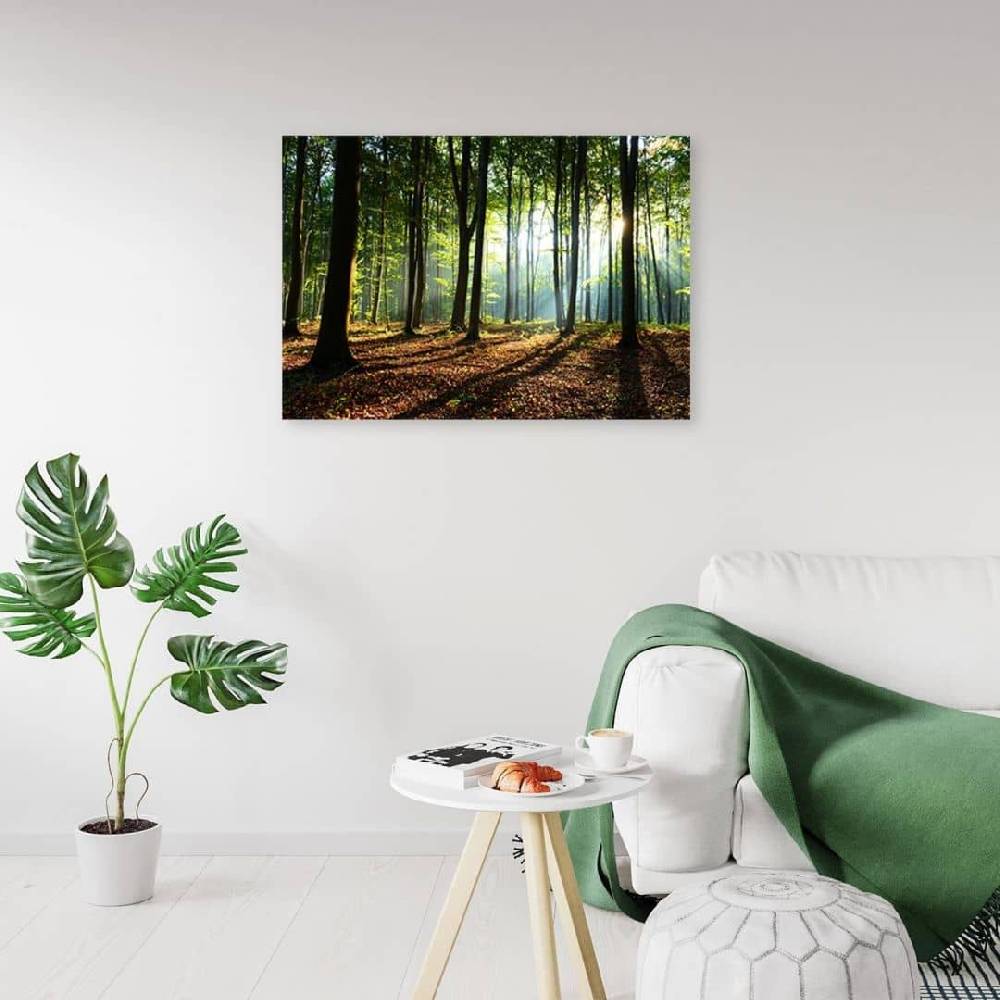 Kaeppel Leinwandbild, Wald bei Sonnenaufgang 50% Rabatt für begrenzte Zeit